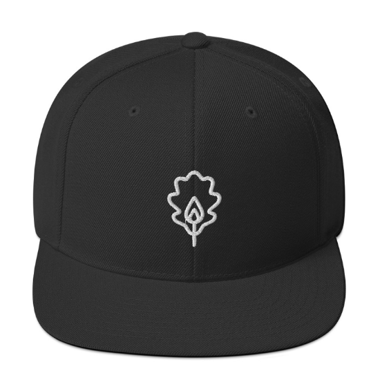 Picture of Black Simple Logo Snapback Hat